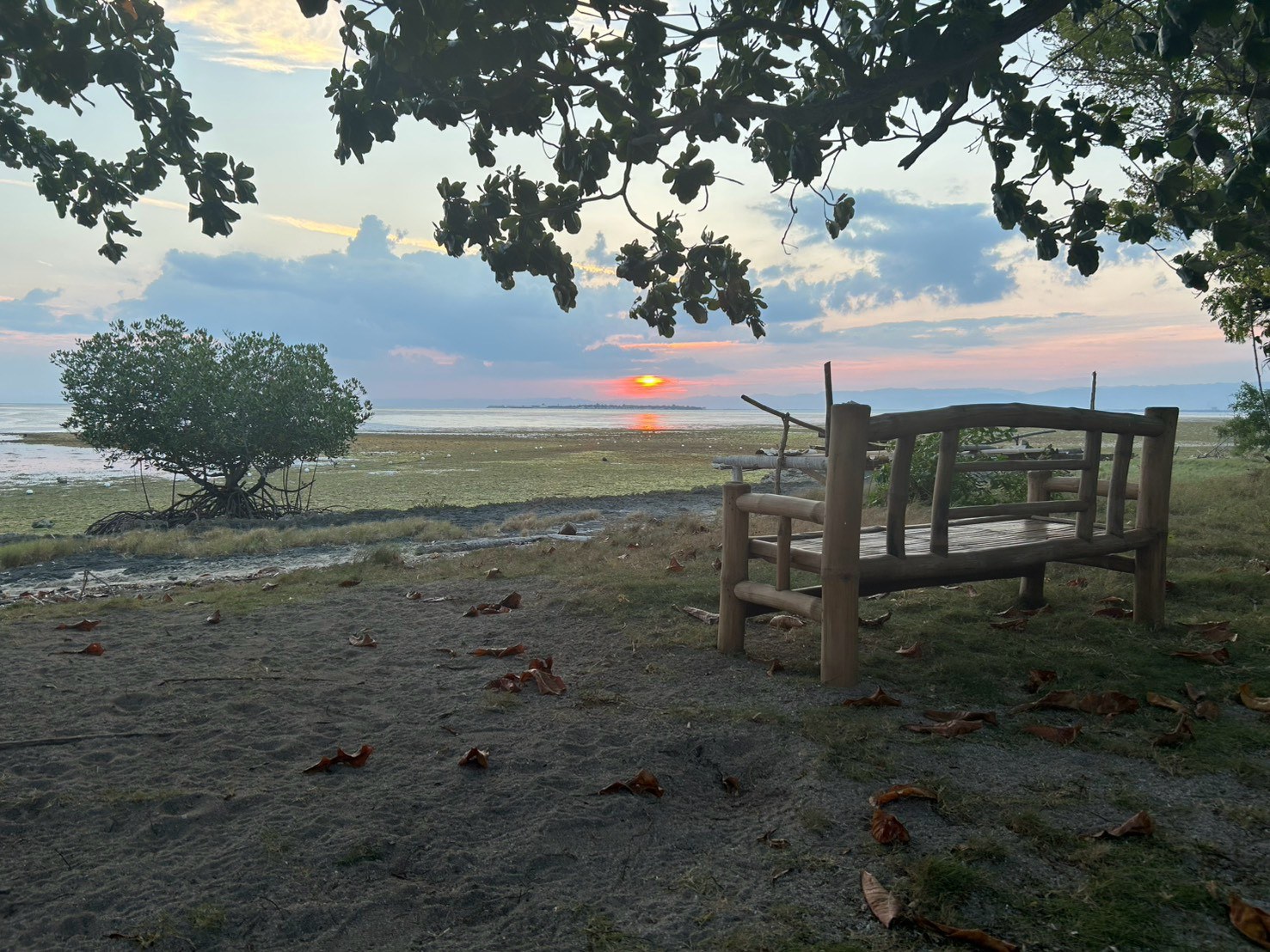 島の海に沈む夕日と木陰のベンチ